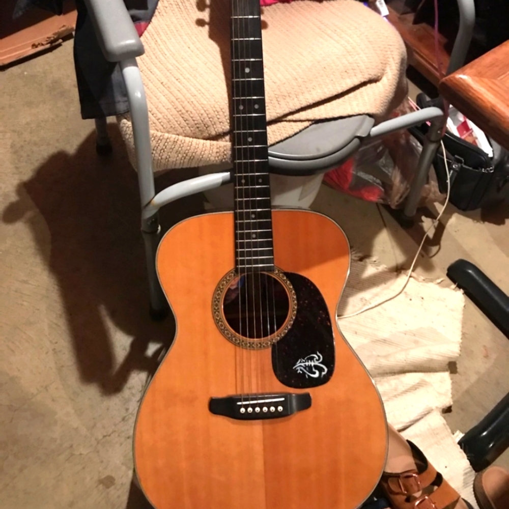 Westbury model# w180f guitar grand concert edition